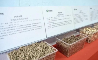 甘肅省靜寧縣仁大鎮生物質廢棄物綜合利用項目建成投產